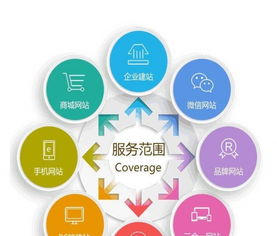 龙岗网站建设领跑者 圣玺网络，引领网络新生态